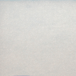 Electrolux/Eureka 1130535-01 Oxygen Canister Motor Filter, 5in x 5in