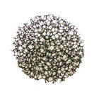 Bissell 23T7 Easy Vac Pre Motor Filter - 203-7597 - Genuine