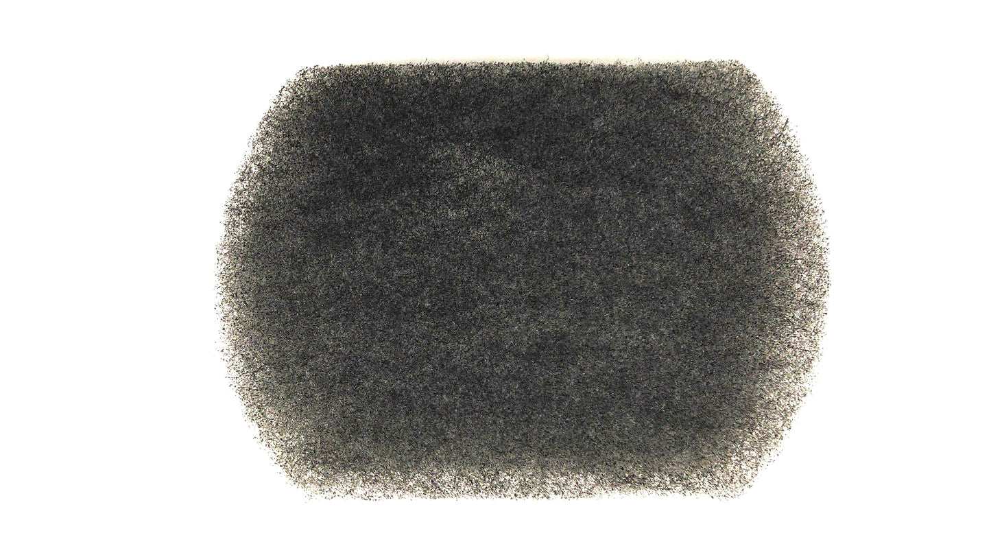 38596  FINAL FILTER, 296 BROOM