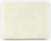 Eureka Victory / Whirlwind Micron Filter 60665, 38755, 38614