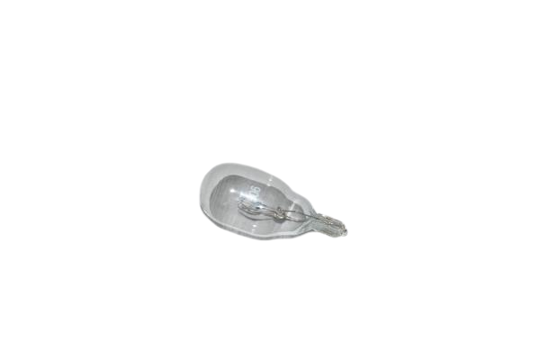 LIGHT BULB-TITAN T9000,T9500,POWER NOZZLE