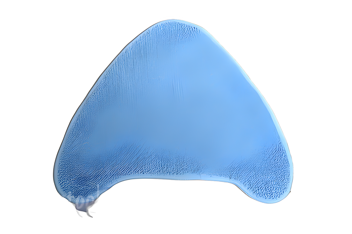 Hoover Cleaning Padwh20200 Vacuum #440001695