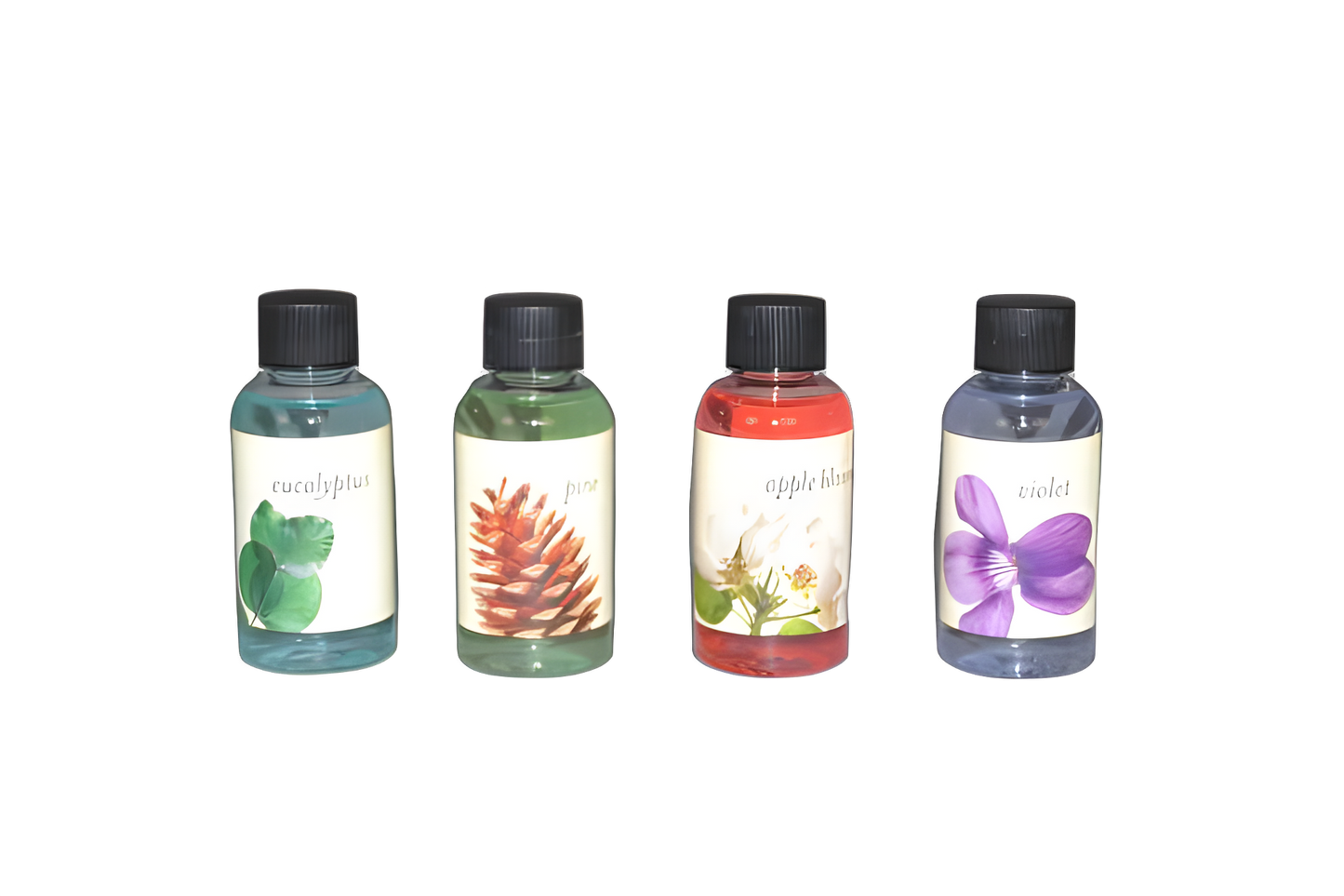 Rainbow Fragrance Pack Rexair Assorted, 4pkcontains : Eucalyptus, Pine, Apple Blossom & Violet Vacuum #R14692
