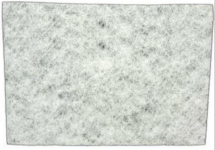 Royal: RO-4929 FILTER, SECONDARY RV2000/CV950