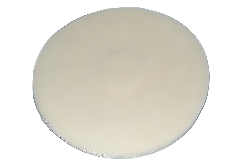 Oreck Marble Pad (beige) Fits Orbitor Vacuum #401512