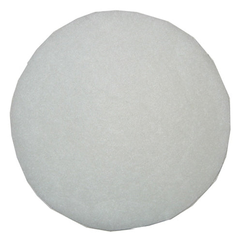 Bissell: B-203-0165 Filter, Secondary Round Disc 18P0/43Z3 Garage Pro 2030165