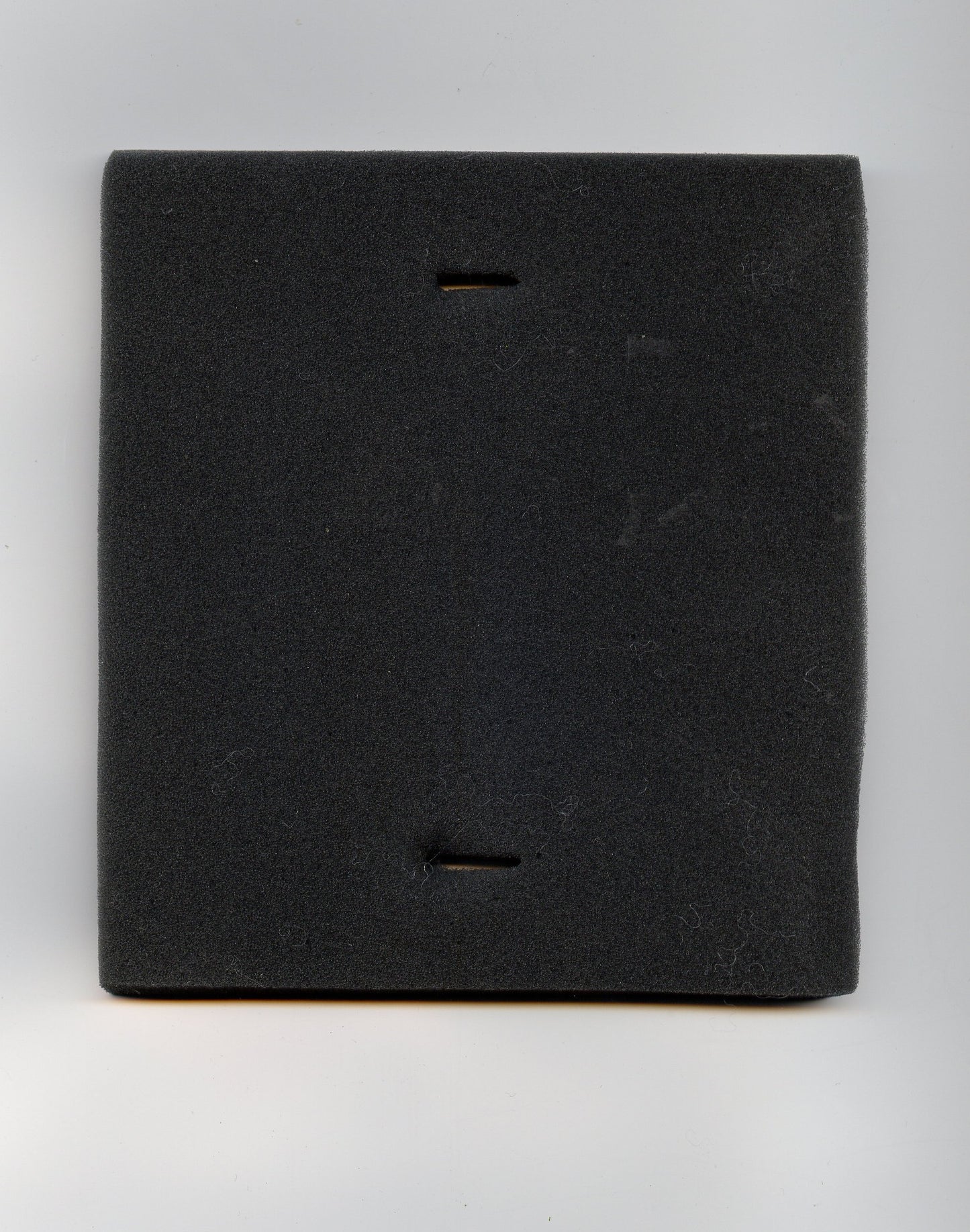 Eureka Foam Insert Filter for DCF8 74038