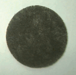 Eureka Mighty Mite Motor Filter 38333