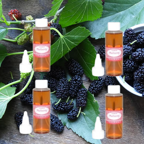 MULBERRY FRAGRANCE-1.6oz OIL-BASE