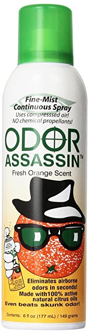 Odor Assassin Odor Eliminator, Orange