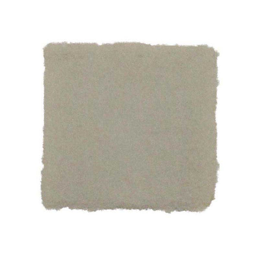 Oreck 77022-01 FILTER, EXHAUST