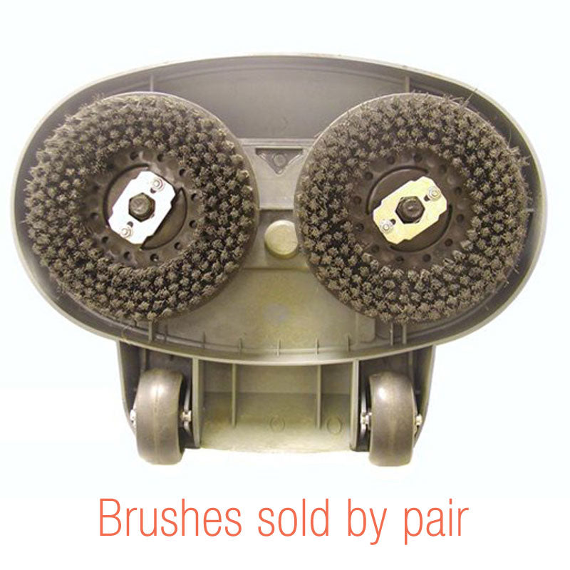 Pullman-Holt: PH-B100329 Brush, Scrub Gloss Boss 2-Pk