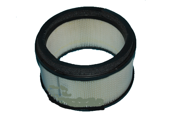 Rainbow Vacuum Cleaner E E2 Pleated Motor Filter  R-7287