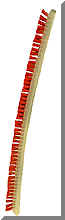 Windsor WI-2046H Heavy Duty 14 Inch Brush Roll Vacuum Brush - Black