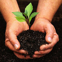 Holistic Approach to Life Helps Save the Environment