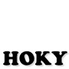 Hoky Carpet Sweepers