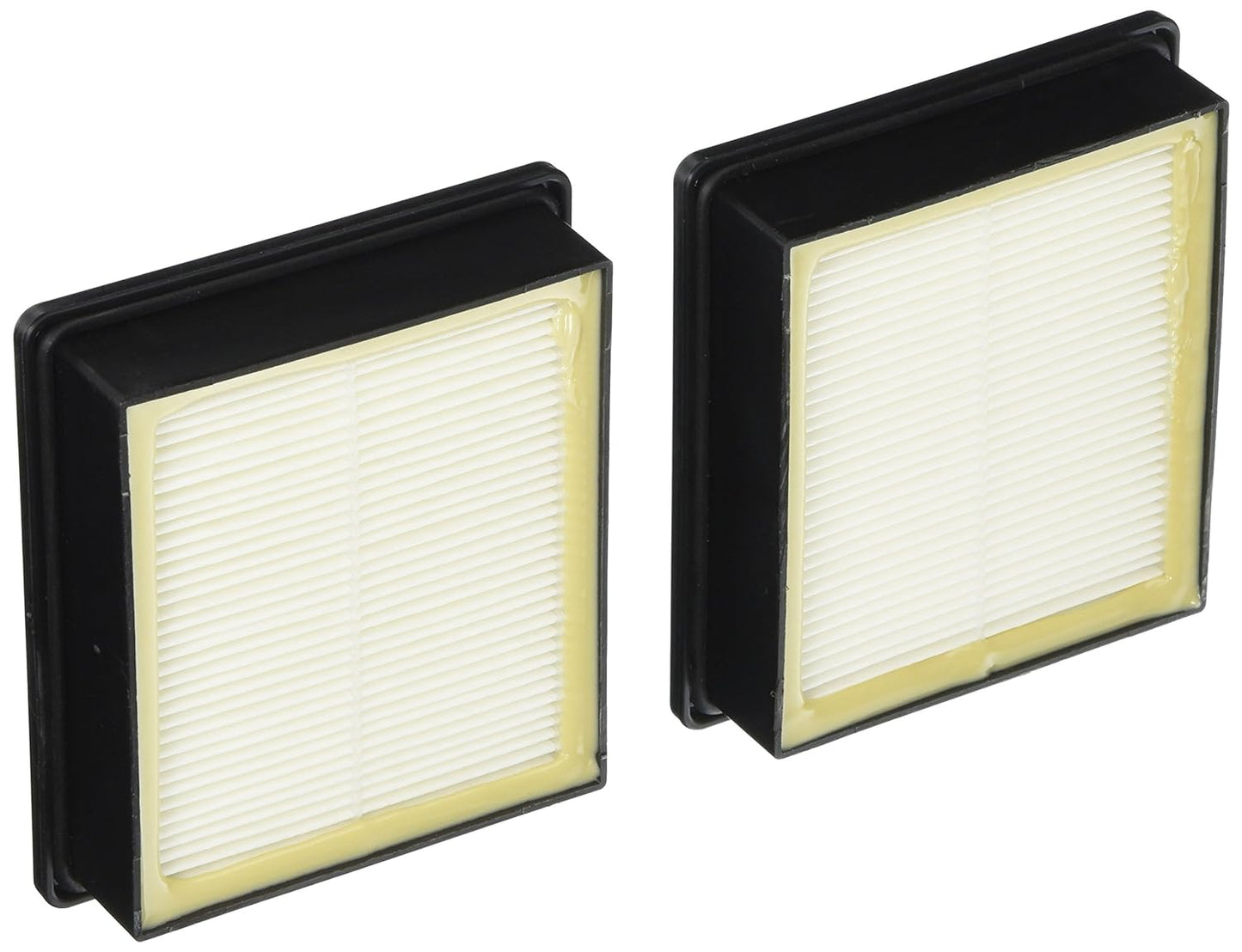 Proteam: PV-107315 Filter, 2 Pk HEPA ProVac FS Super CoachPro GoFree