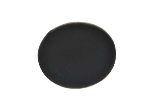 Filter for Secondary Bissell BGC3000 Canister, Foam Vacuum #C3000-16