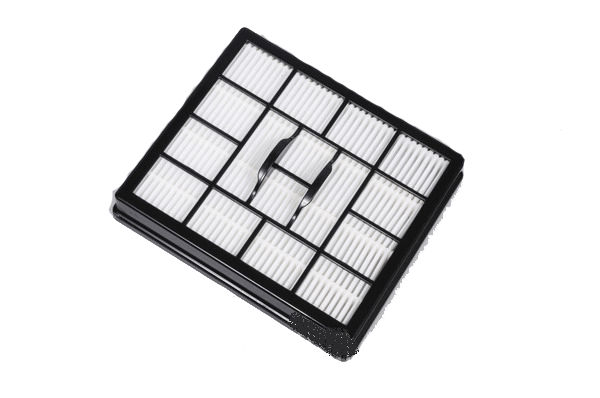 Royal  Inlet Exhaust Filter 2KT1000000