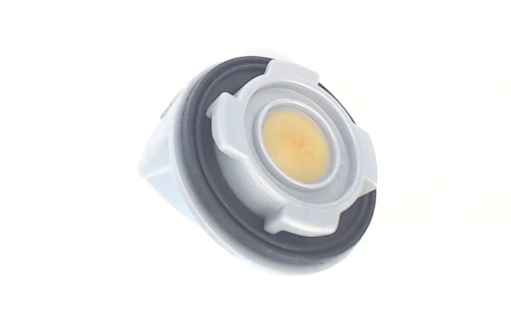 CAP ASSEMBLY-HOOVER FH50210,STEAM VAC