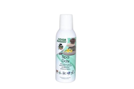 ODOR ASSASSIN-SPA DAY,8oz CAN