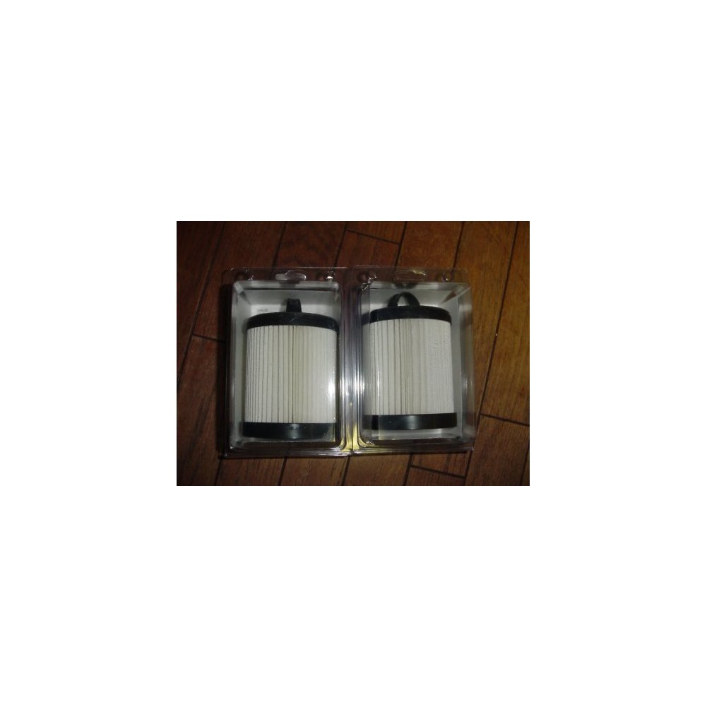 Eureka 62136 DCF-3 Dirt Cup HEPA Filter Master Pack -2 filters