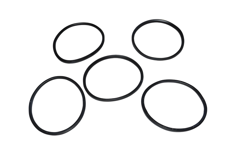 Motor Seal Kirby Gen 3 Vacuum #600389S