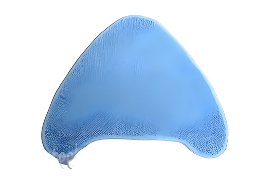 Hoover Cleaning Padwh20200 Vacuum #440001695