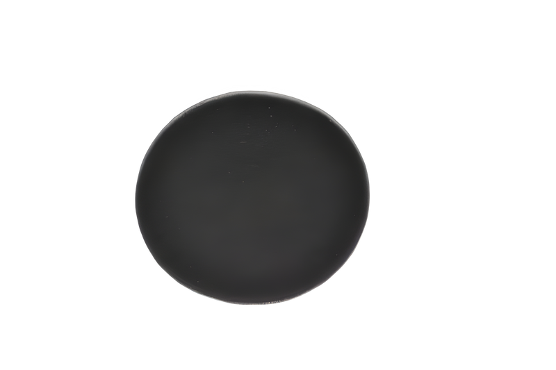 Eureka Filter for Pre Saniataire Sc530a Backpack Vacuum #86619SAN