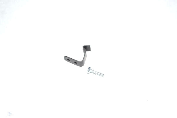 DETENT SPRING AND SCREW