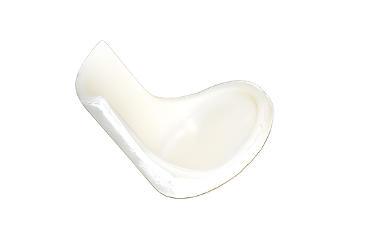 Valve Housing Assy Maytag M1200 Upright Vacuum #D480-1514