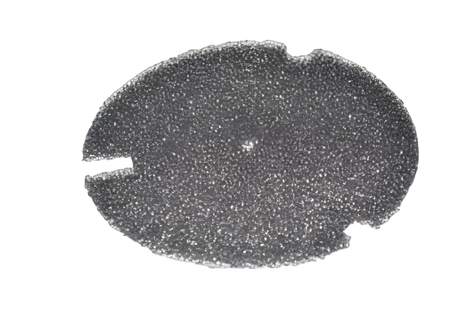 Filter for Inlet Hoover Ch34006 Back Packch93619 Vacuum #440009175