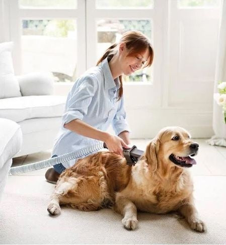 Dyson Pet Grooming Tool