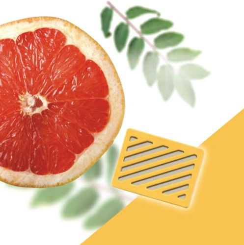AROMA CARTRIDGES,GRAPEFRUIT,2PK,AIR TAMER