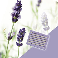 AROMA CARTRIDGES,RELAXING LAVENDER,2PK,AIR TAMER