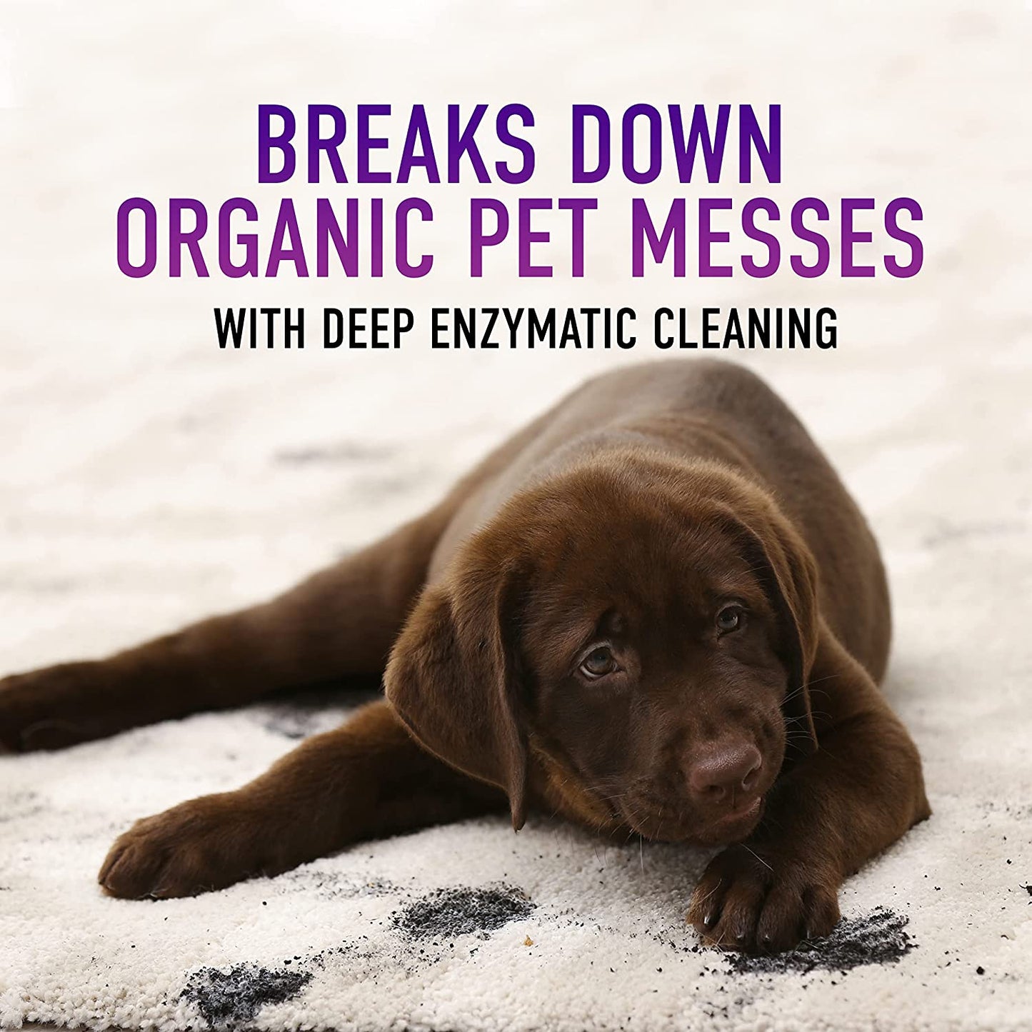 Hoover Paws & Claws Deep Cleaning Carpet Shampoo with Stainguard, Concentrated Machine Cleaner Solution for Pets, Enzymatic, 64oz Formula, AH30925