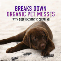 Hoover Paws & Claws Deep Cleaning Carpet Shampoo with Stainguard, Concentrated Machine Cleaner Solution for Pets, Enzymatic, 64oz Formula, AH30925