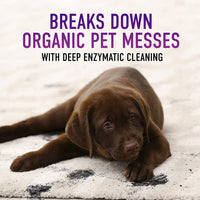 SHAMPOO-HOOVER,64oz,2X FORMULA,PAW & CLAWS
