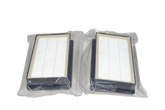 FILTER,EXHAUST-HOOVER CH34006 BACK PACK 2 PER PACK
