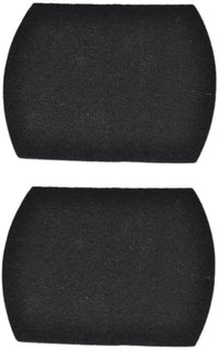 B345-0100, Secondary Charcoal Filter For FB-GIM & FBP-PCV Vacuum (2 Filter)