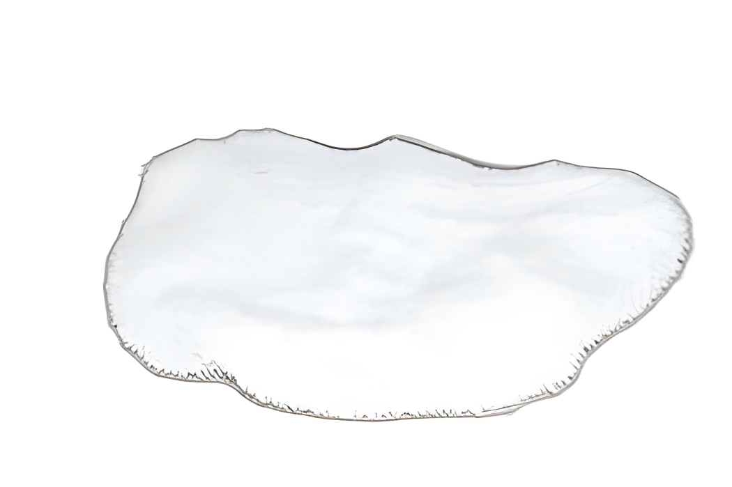 Bissell Powerfresh Steam Mop Pad #1606668