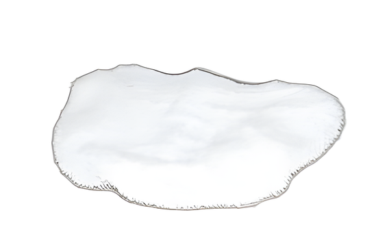 Bissell Powerfresh Steam Mop Pad #1606668