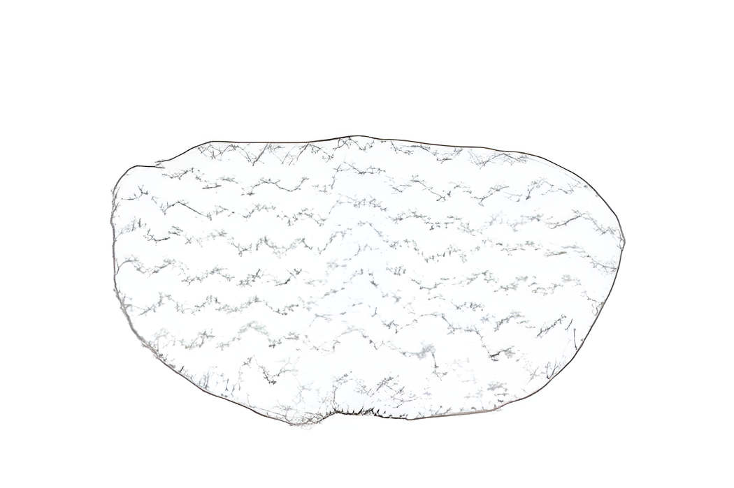 Bissell PowerFresh Steam Mop Scrubby Pad #1606669