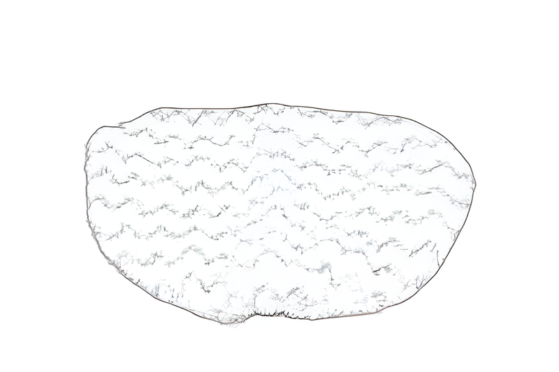 Bissell PowerFresh Steam Mop Scrubby Pad #1606669