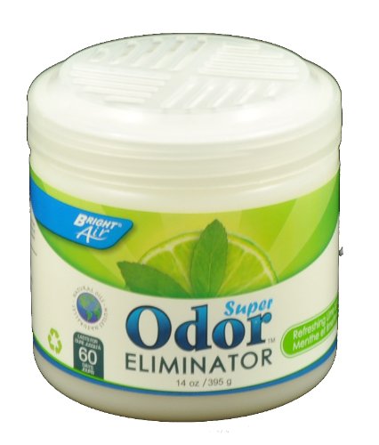 Bright Air Odor Eliminator, Cool Mint and Lemon Scent