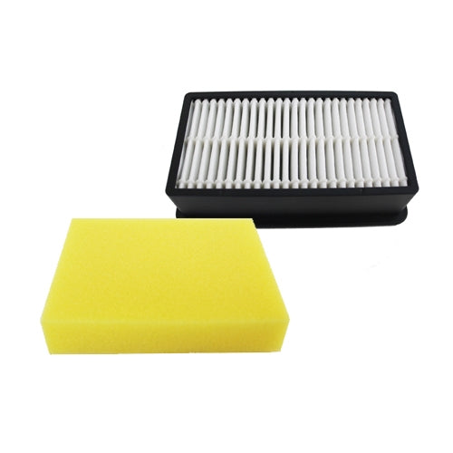 1008 Filter, Kit Pleated and Foam Cleanview 9595