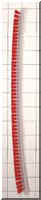 Windsor COM-WI12 Heavy Duty 14 Inch Vacuum Brush Roll Strips- Generic - Black