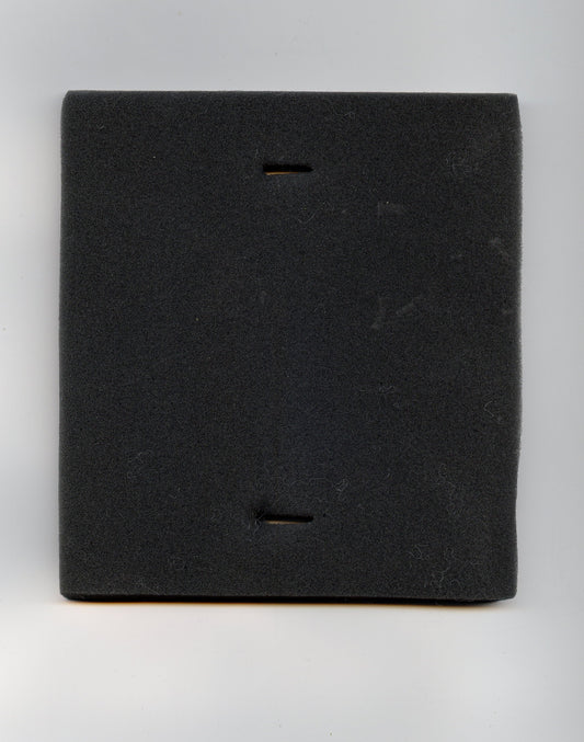 Eureka Foam Insert Filter for DCF8  74038
