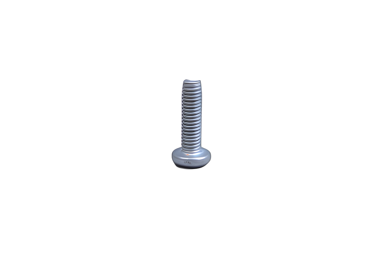 Screw for Belt Lifter Gen 3 Kirby Vacuum #232596S