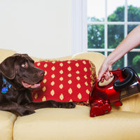 Fuller Brush FB-PM Power Maid Power Brush Hand Vacuum